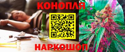гидропоника Шебекино
