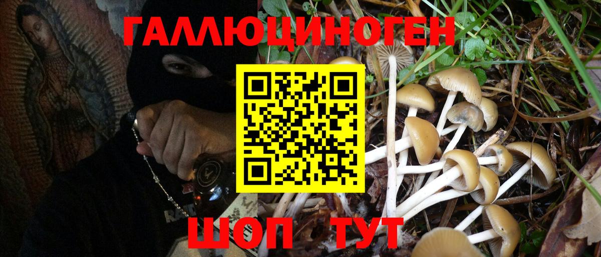Галлюциногенные грибы ЛСД Кстово