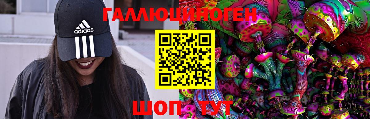 купить наркотики сайты  Вход с VPN  Псилоцибиновые грибы ЛСД  Кстово  Галлюциногенные грибы Magic Shrooms 